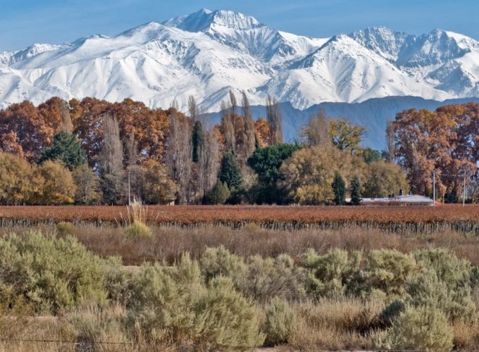 Paquete a Mendoza