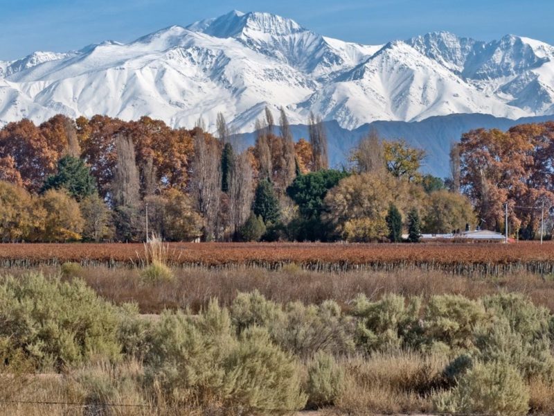 Paquete a Mendoza