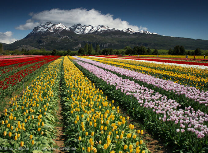 BARILOCHE Y TULIPANES 5 Y 4 NOCHES EN DEPTO TURISTICO